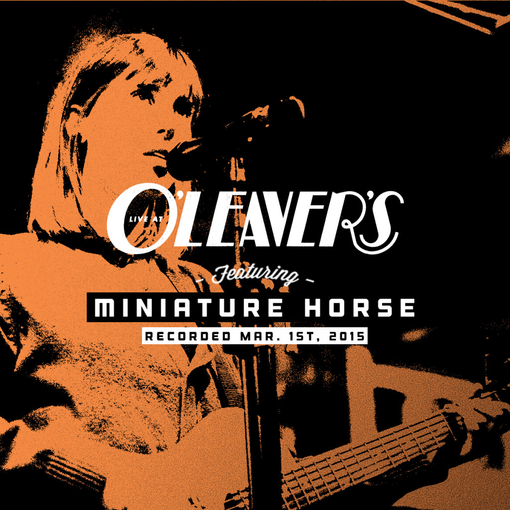 Miniature Horse