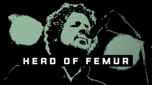 Head of Femur