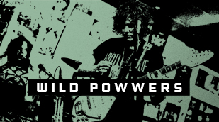 Wild Powwers